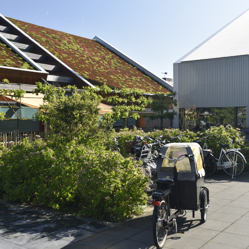 Gezonde gebouwen